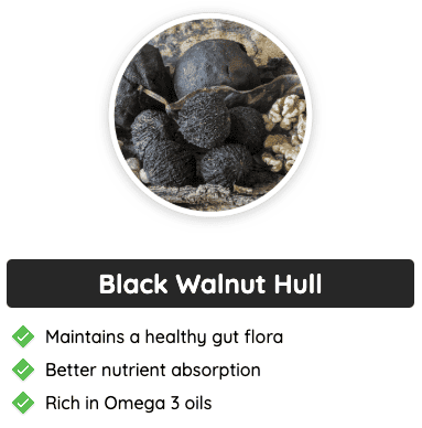 Black walnut hull - A key GlucoFlush ingredient that supports gut flora, improves nutrient absorption, and is rich in Omega-3 oils.