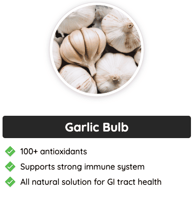 Garlic Bulb - A key GlucoFlush ingredient rich in antioxidants, boosting immunity and supporting digestive health naturally