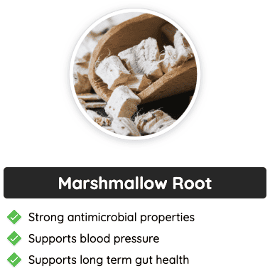 Marshmallow root - A natural ingredient in GlucoFlush, supports gut health, regulates blood pressure, and provides antimicrobial protection.