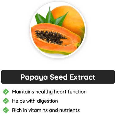 GlucoFlush Papaya Seed Extract - Supports heart health, digestion, and nutrient absorption.