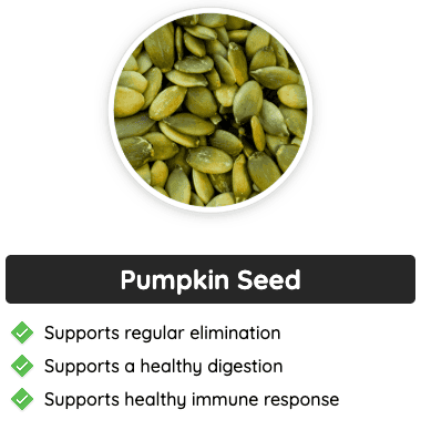 Pumpkin seed - A powerful GlucoFlush ingredient that supports digestion, promotes regular elimination, and enhances immune response