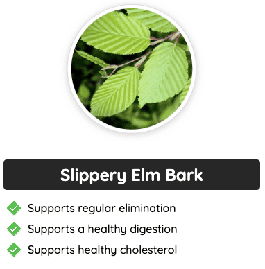 Slippery Elm Bark - A natural GlucoFlush ingredient that supports digestion, regular elimination, and promotes healthy cholesterol levels.