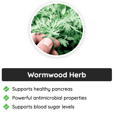 Wormwood Herb - A key GlucoFlush ingredient that supports a healthy pancreas, has powerful antimicrobial properties, and helps regulate blood sugar levels.